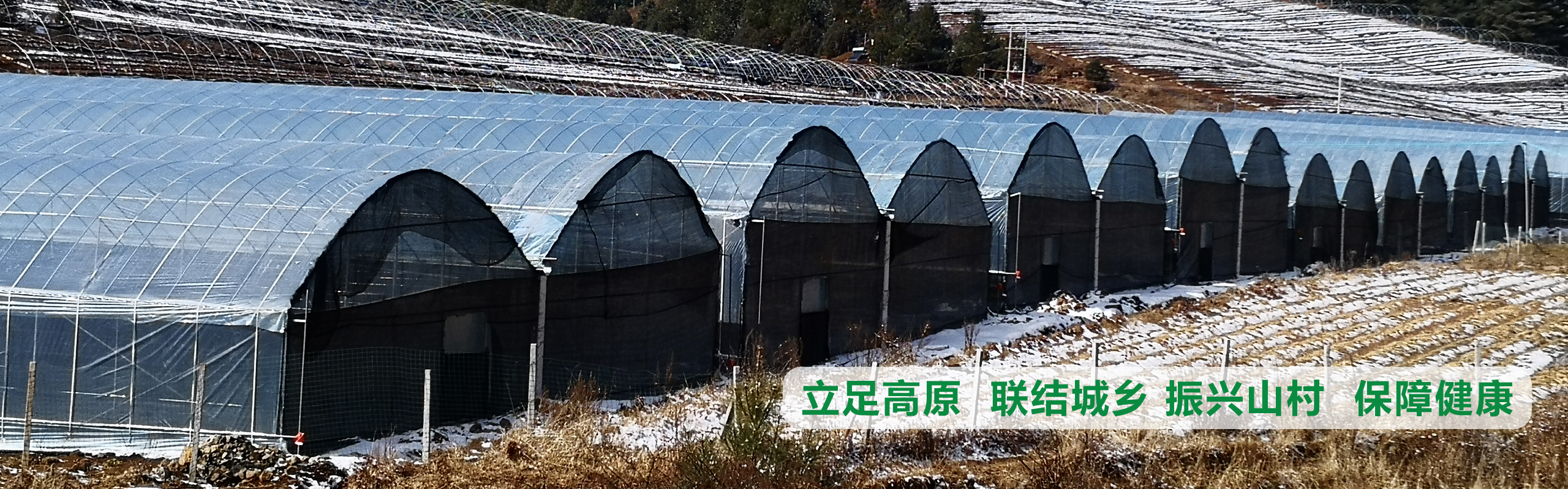 立足高原、聯(lián)結(jié)城鄉(xiāng)、振興山村、保障健康